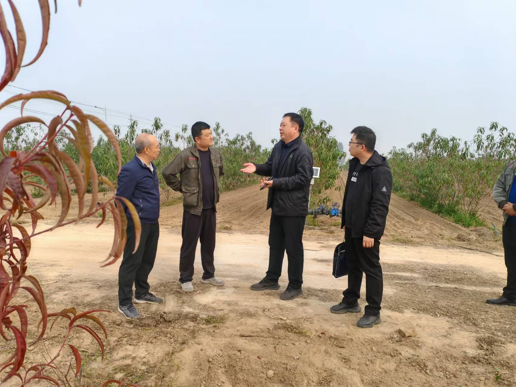 811b1f330ee3302a32bc0c9042e38f2.jpg 811b1f330ee3302a32bc0c9042e38f2.jpg