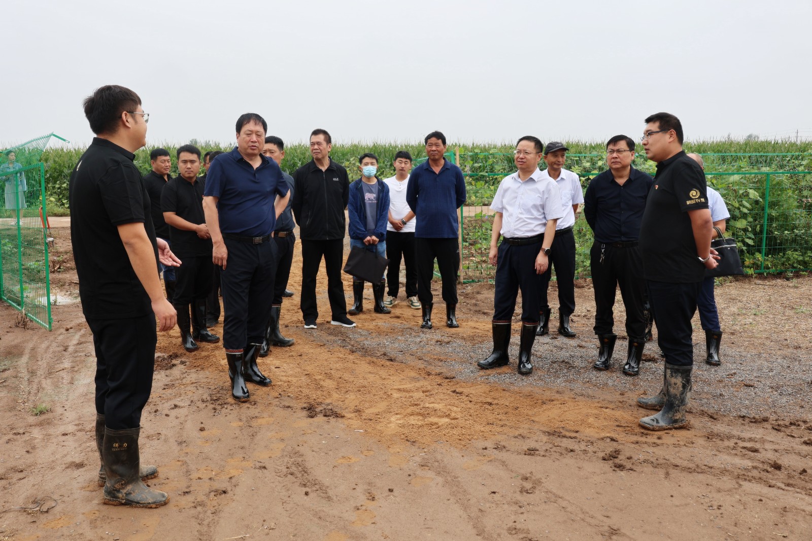 £¨4£©.jpg £¨4£©.jpg