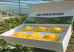 thumb_250_250_efa357f040a73c20e71bb64ceebe2d42