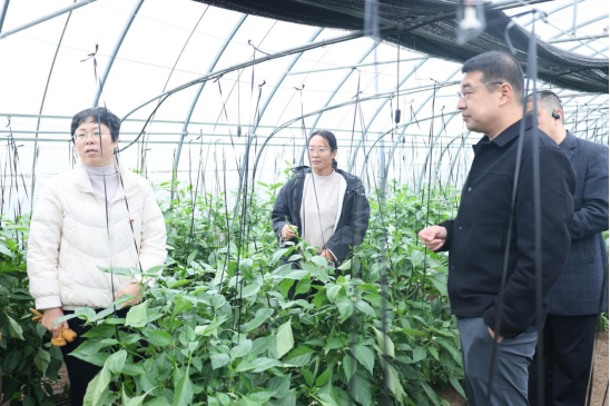 JDB���ӡ�(�й���)����ƽ̨-JDB������Ϸ����